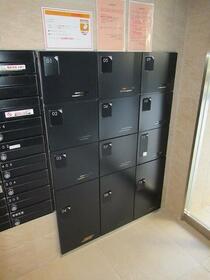 15/16 その他画像