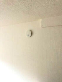 8/16 その他画像