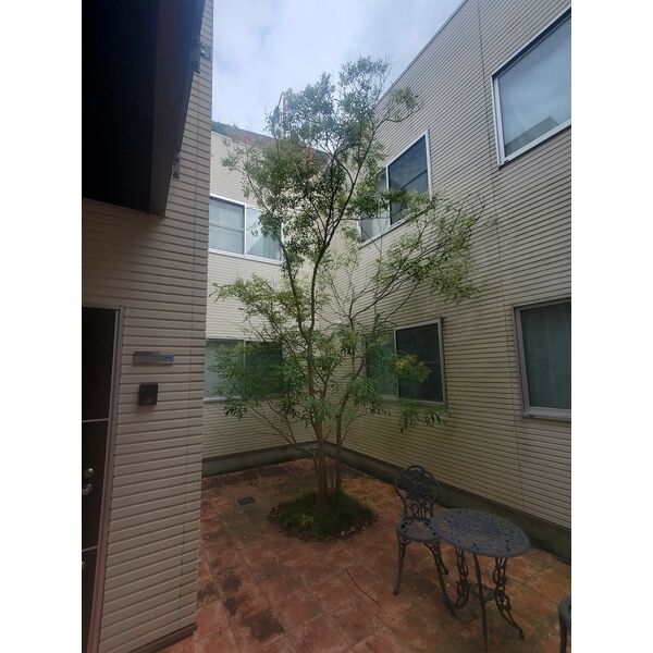 4/11 その他画像