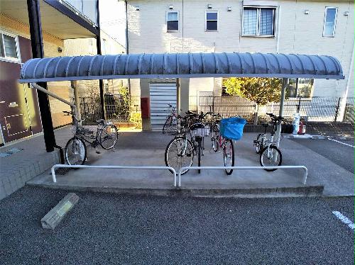 11/14 その他画像