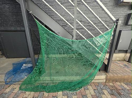 11/24 その他画像