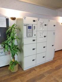 14/22 その他画像