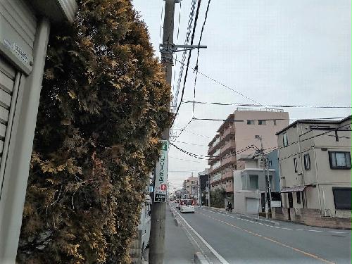 11/24 その他画像