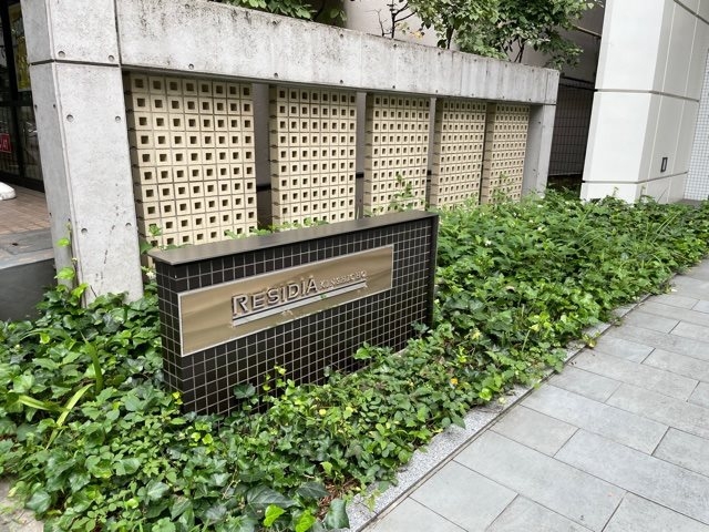 11/20 その他画像