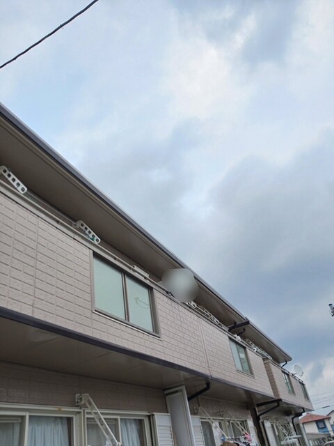 11/20 その他画像