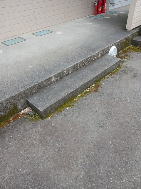 5/20 その他画像