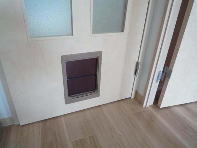 16/26 その他画像