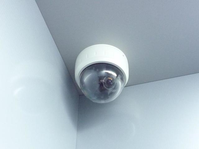 15/24 その他画像