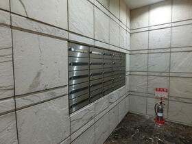 3/15 その他画像