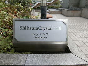 6/15 その他画像