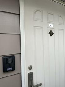 3/16 その他画像