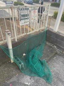 14/16 その他画像