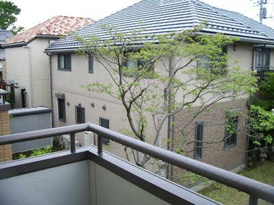 10/16 バルコニー