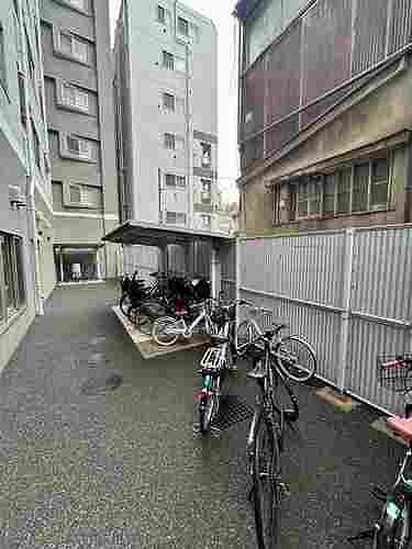 5/11 その他画像