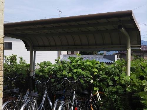 12/14 その他画像