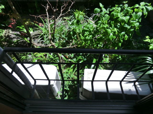 11/29 バルコニー