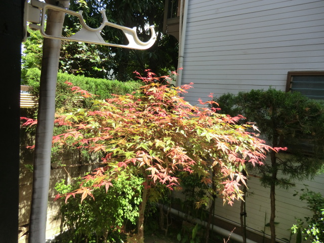 14/29 その他画像