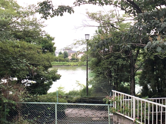 17/19 その他画像