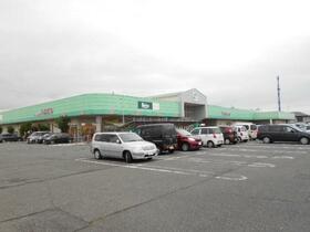 15/17 その他画像