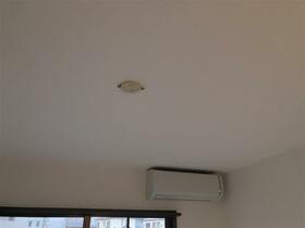 11/11 その他画像