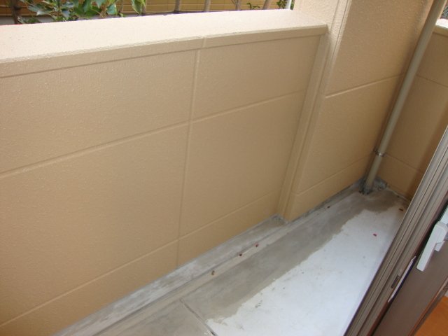 21/29 その他画像