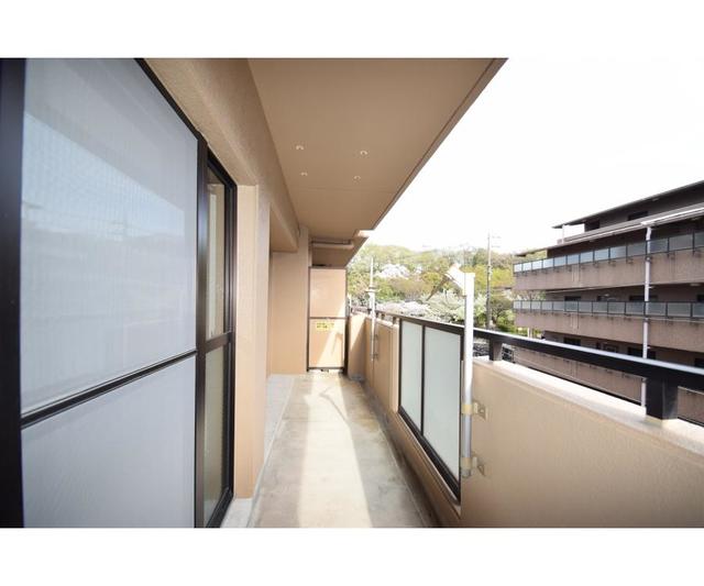 17/17 その他画像