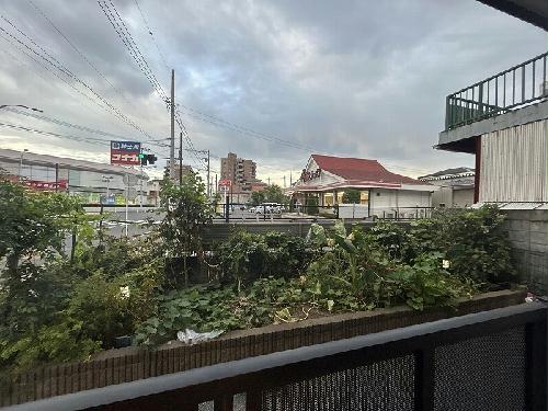 11/14 その他画像