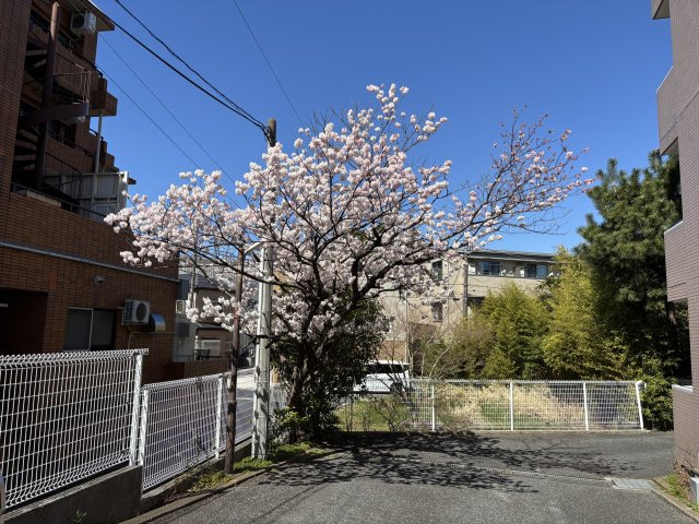 21/26 その他画像