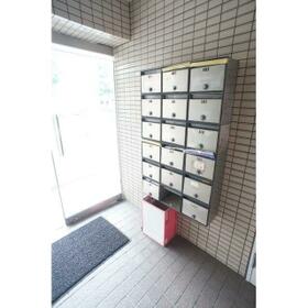 11/16 その他画像