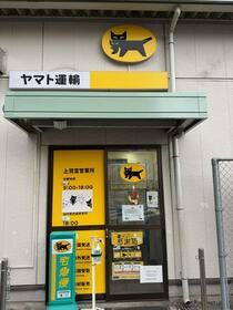 14/14 その他画像