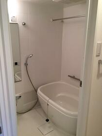 5/16 その他画像