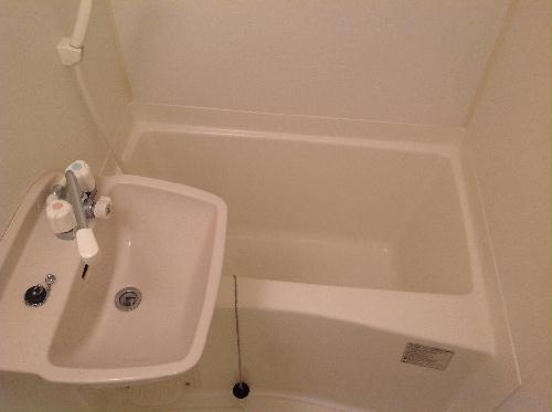 13/23 その他画像