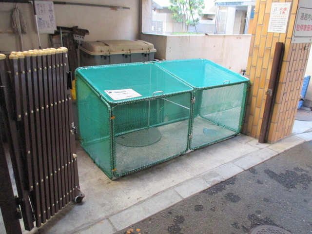 13/22 その他画像