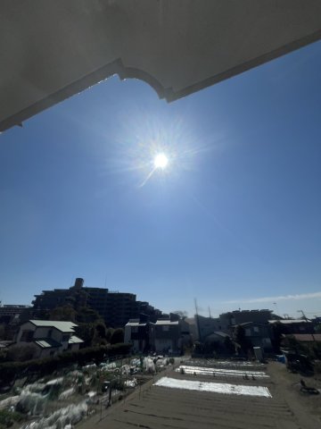 19/29 その他画像