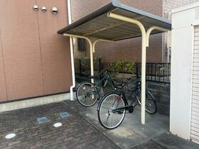 3/15 その他画像