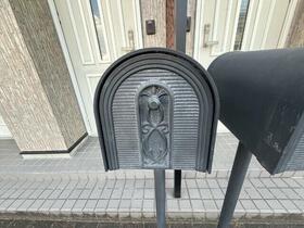 6/15 その他画像