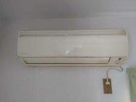 11/11 その他画像