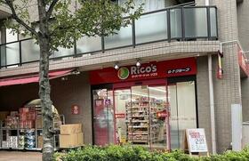 13/16 その他画像