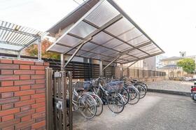 11/14 その他画像