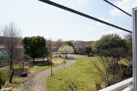 14/17 その他画像