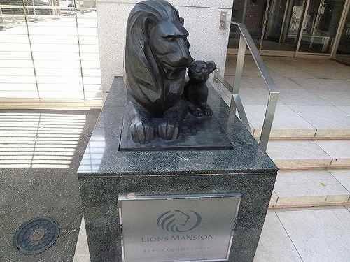 3/12 その他画像