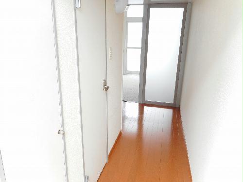 11/15 その他画像