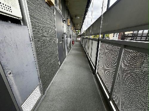 8/13 その他画像