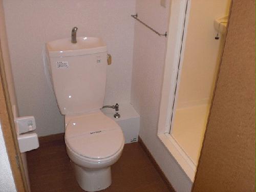 13/17 その他画像