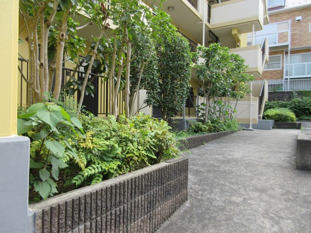 19/26 その他画像