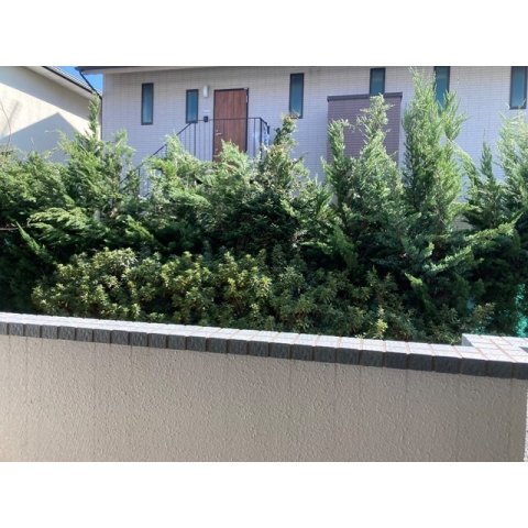 20/23 その他画像