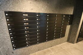 15/16 その他画像