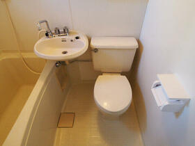 5/11 その他画像