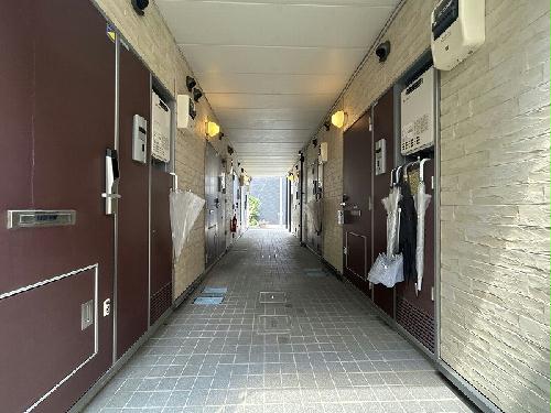 8/16 その他画像