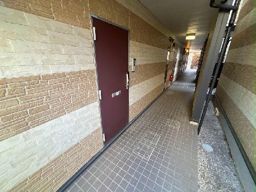 6/13 その他画像